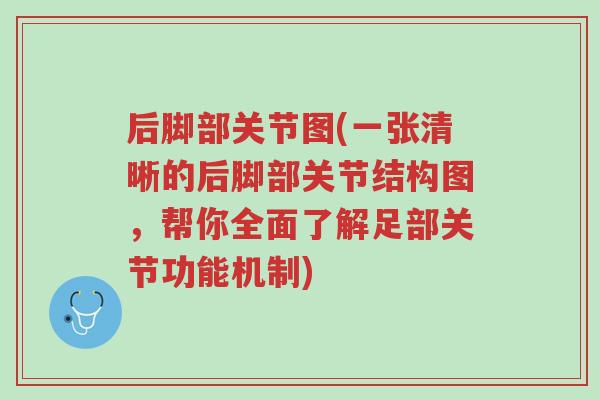 后脚部关节图(一张清晰的后脚部关节结构图,帮你全面了解足部关节功能机制)-第1张图片-超越 后脚部关节图(一张清晰的后脚部关节结构图,帮你全面了解足部关节功能机制)-第1张图片-超越