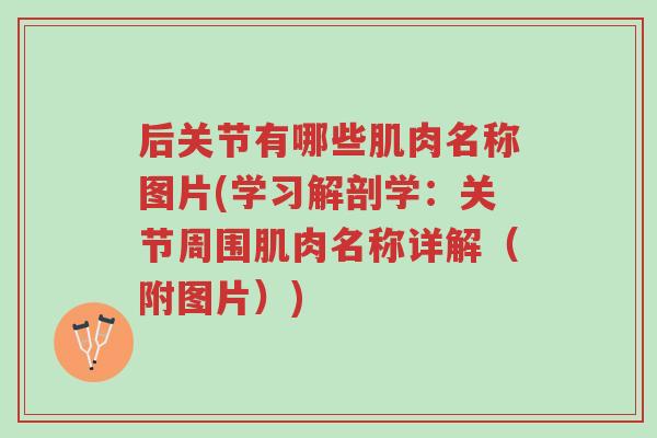 后关节有哪些肌肉名称图片(学习解剖学:关节周围肌肉名称详解(附图片))-第1张图片-超越 后关节有哪些肌肉名称图片(学习解剖学:关节周围肌肉名称详解(附图片))-第1张图片-超越