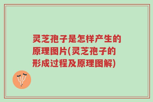 灵芝孢子是怎样产生的原理图片(灵芝孢子的形成过程及原理图解)-第1张图片-超越 灵芝孢子是怎样产生的原理图片(灵芝孢子的形成过程及原理图解)-第1张图片-超越