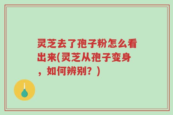 灵芝去了孢子粉怎么看出来(灵芝从孢子变身,如何辨别?)-第1张图片-超越 灵芝去了孢子粉怎么看出来(灵芝从孢子变身,如何辨别?)-第1张图片-超越