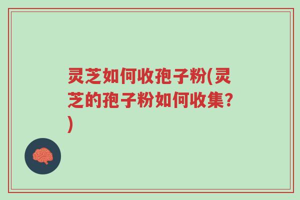 灵芝如何收孢子粉(灵芝的孢子粉如何收集?)-第1张图片-超越 灵芝如何收孢子粉(灵芝的孢子粉如何收集?)-第1张图片-超越