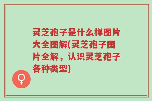 灵芝孢子是什么样图片大全图解(灵芝孢子图片全解,认识灵芝孢子各种类型)-第1张图片-超越 灵芝孢子是什么样图片大全图解(灵芝孢子图片全解,认识灵芝孢子各种类型)-第1张图片-超越