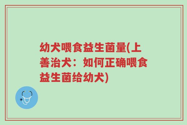 幼犬喂食益生菌量(上善治犬:如何正确喂食益生菌给幼犬)-第1张图片-超越 幼犬喂食益生菌量(上善治犬:如何正确喂食益生菌给幼犬)-第1张图片-超越
