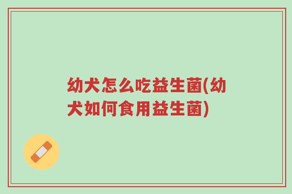 幼犬怎么吃益生菌(幼犬如何食用益生菌)-第1张图片-超越 幼犬怎么吃益生菌(幼犬如何食用益生菌)-第1张图片-超越