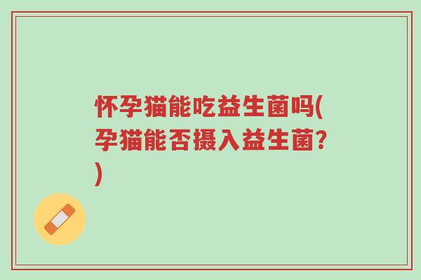 怀孕猫能吃益生菌吗(孕猫能否摄入益生菌?)-第1张图片-超越 怀孕猫能吃益生菌吗(孕猫能否摄入益生菌?)-第1张图片-超越