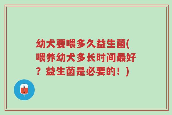 幼犬要喂多久益生菌(喂养幼犬多长时间最好?益生菌是必要的!)-第1张图片-超越 幼犬要喂多久益生菌(喂养幼犬多长时间最好?益生菌是必要的!)-第1张图片-超越