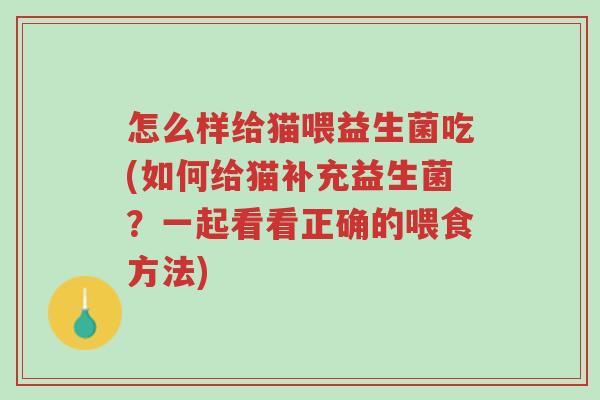 怎么样给猫喂益生菌吃(如何给猫补充益生菌?一起看看正确的喂食方法)-第1张图片-超越 怎么样给猫喂益生菌吃(如何给猫补充益生菌?一起看看正确的喂食方法)-第1张图片-超越