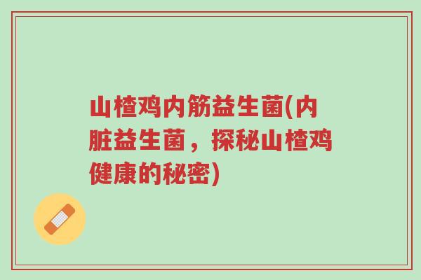 山楂鸡内筋益生菌(内脏益生菌,探秘山楂鸡健康的秘密)-第1张图片-超越 山楂鸡内筋益生菌(内脏益生菌,探秘山楂鸡健康的秘密)-第1张图片-超越
