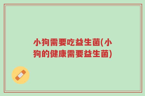 小狗需要吃益生菌(小狗的健康需要益生菌)-第1张图片-超越 小狗需要吃益生菌(小狗的健康需要益生菌)-第1张图片-超越