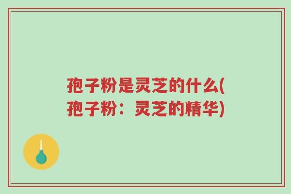 孢子粉是灵芝的什么(孢子粉:灵芝的精华)-第1张图片-超越 孢子粉是灵芝的什么(孢子粉:灵芝的精华)-第1张图片-超越