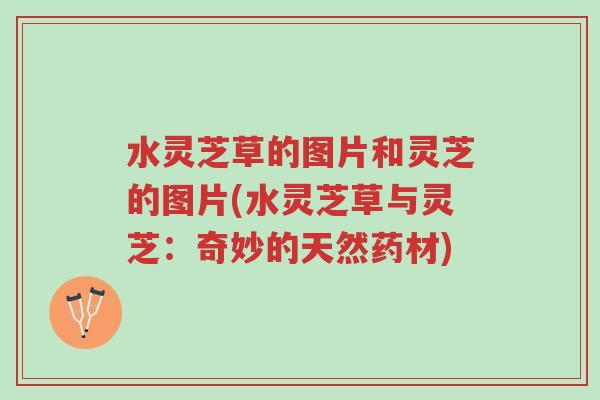 水灵芝草的图片和灵芝的图片(水灵芝草与灵芝:奇妙的天然药材)-第1张图片-超越 水灵芝草的图片和灵芝的图片(水灵芝草与灵芝:奇妙的天然药材)-第1张图片-超越