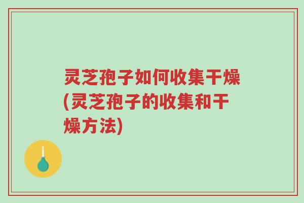 灵芝孢子如何收集干燥(灵芝孢子的收集和干燥方法)-第1张图片-超越