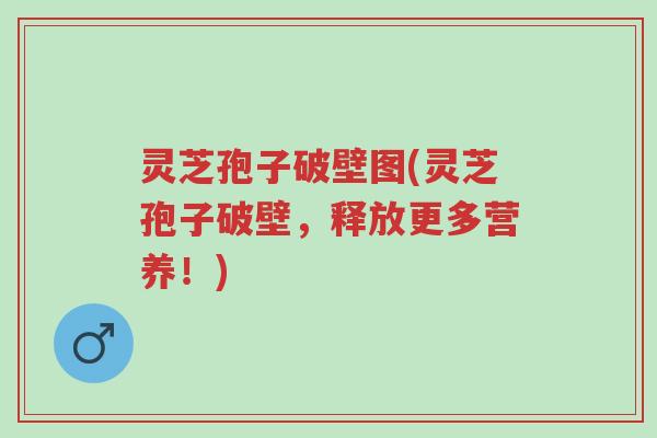 灵芝孢子破壁图(灵芝孢子破壁,释放更多营养!)-第1张图片-超越 灵芝孢子破壁图(灵芝孢子破壁,释放更多营养!)-第1张图片-超越