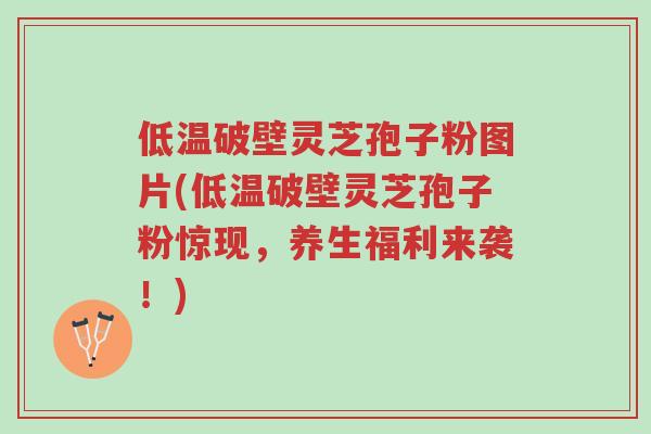低温破壁灵芝孢子粉图片(低温破壁灵芝孢子粉惊现,养生福利来袭!)-第1张图片-超越 低温破壁灵芝孢子粉图片(低温破壁灵芝孢子粉惊现,养生福利来袭!)-第1张图片-超越
