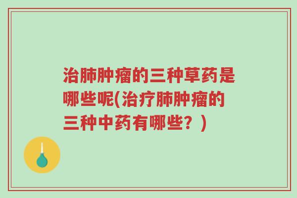 治肺肿瘤的三种草药是哪些呢(治疗肺肿瘤的三种中药有哪些?)-第1张图片-超越 治肺肿瘤的三种草药是哪些呢(治疗肺肿瘤的三种中药有哪些?)-第1张图片-超越
