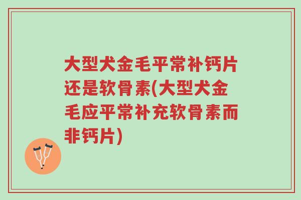 大型犬金毛平常补钙片还是软骨素(大型犬金毛应平常补充软骨素而非钙片)-第1张图片-超越 大型犬金毛平常补钙片还是软骨素(大型犬金毛应平常补充软骨素而非钙片)-第1张图片-超越