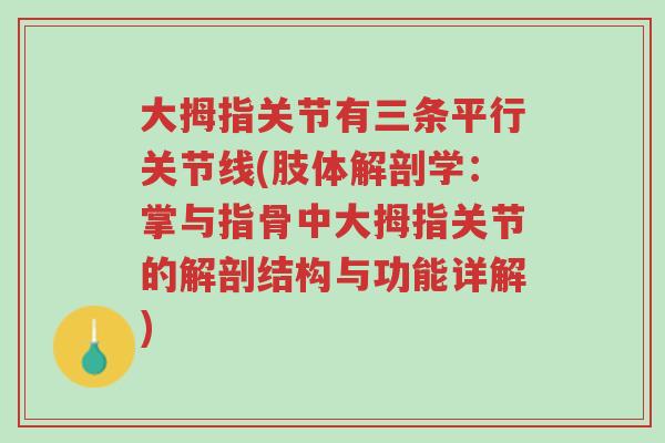 大拇指关节有三条平行关节线(肢体解剖学:掌与指骨中大拇指关节的解剖结构与功能详解)-第1张图片-超越 大拇指关节有三条平行关节线(肢体解剖学:掌与指骨中大拇指关节的解剖结构与功能详解)-第1张图片-超越