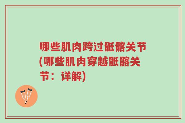 哪些肌肉跨过骶髂关节(哪些肌肉穿越骶髂关节:详解)-第1张图片-超越 哪些肌肉跨过骶髂关节(哪些肌肉穿越骶髂关节:详解)-第1张图片-超越