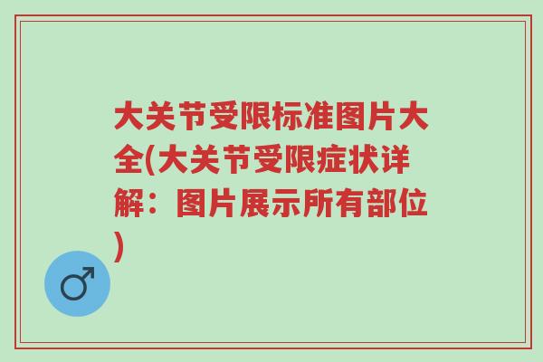 大关节受限标准图片大全(大关节受限症状详解:图片展示所有部位)-第1张图片-超越 大关节受限标准图片大全(大关节受限症状详解:图片展示所有部位)-第1张图片-超越