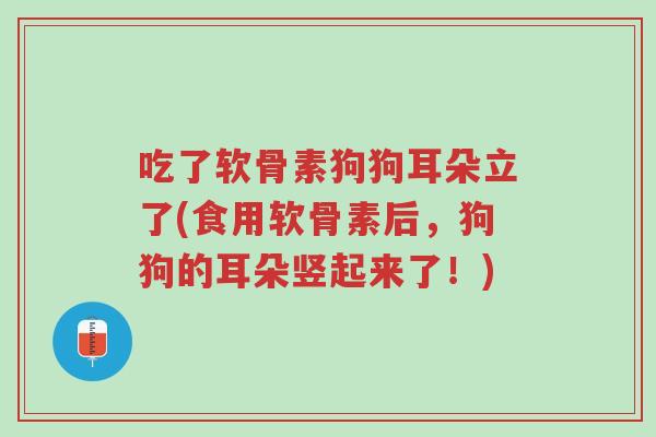 吃了软骨素狗狗耳朵立了(食用软骨素后,狗狗的耳朵竖起来了!)-第1张图片-超越 吃了软骨素狗狗耳朵立了(食用软骨素后,狗狗的耳朵竖起来了!)-第1张图片-超越