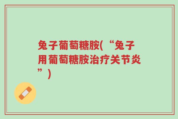 兔子葡萄糖胺(“兔子用葡萄糖胺治疗关节炎”)-第1张图片-超越 兔子葡萄糖胺(“兔子用葡萄糖胺治疗关节炎”)-第1张图片-超越