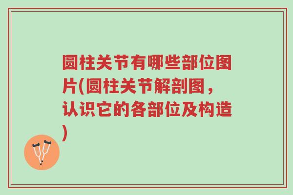 圆柱关节有哪些部位图片(圆柱关节解剖图,认识它的各部位及构造)-第1张图片-超越 圆柱关节有哪些部位图片(圆柱关节解剖图,认识它的各部位及构造)-第1张图片-超越