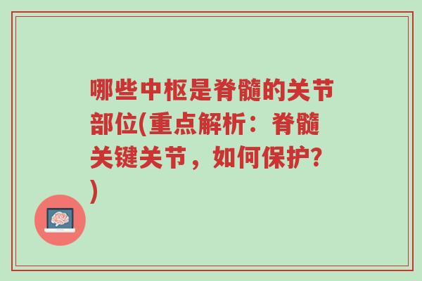 哪些中枢是脊髓的关节部位(重点解析:脊髓关键关节,如何保护?)-第1张图片-超越 哪些中枢是脊髓的关节部位(重点解析:脊髓关键关节,如何保护?)-第1张图片-超越