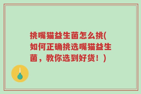 挑嘴猫益生菌怎么挑(如何正确挑选嘴猫益生菌,教你选到好货!)-第1张图片-超越 挑嘴猫益生菌怎么挑(如何正确挑选嘴猫益生菌,教你选到好货!)-第1张图片-超越