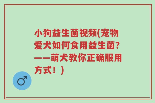 小狗益生菌视频(宠物爱犬如何食用益生菌?——萌犬教你正确服用方式!)-第1张图片-超越 小狗益生菌视频(宠物爱犬如何食用益生菌?——萌犬教你正确服用方式!)-第1张图片-超越