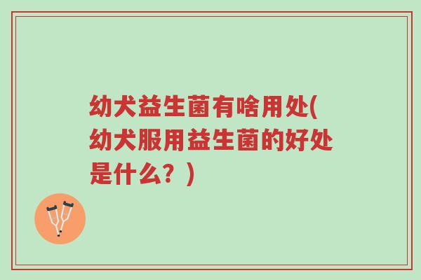 幼犬益生菌有啥用处(幼犬服用益生菌的好处是什么?)-第1张图片-超越 幼犬益生菌有啥用处(幼犬服用益生菌的好处是什么?)-第1张图片-超越