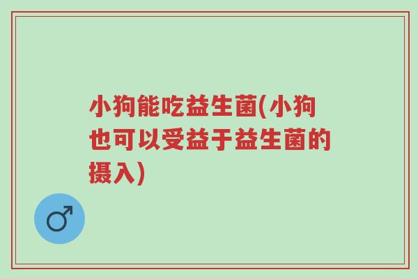 小狗能吃益生菌(小狗也可以受益于益生菌的摄入)-第1张图片-超越 小狗能吃益生菌(小狗也可以受益于益生菌的摄入)-第1张图片-超越