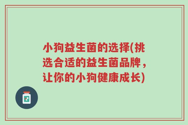 小狗益生菌的选择(挑选合适的益生菌品牌，让你的小狗健康成长)-第1张图片-超越