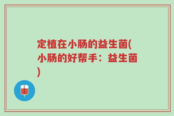 定植在小肠的益生菌(小肠的好帮手:益生菌)-第1张图片-超越 定植在小肠的益生菌(小肠的好帮手:益生菌)-第1张图片-超越