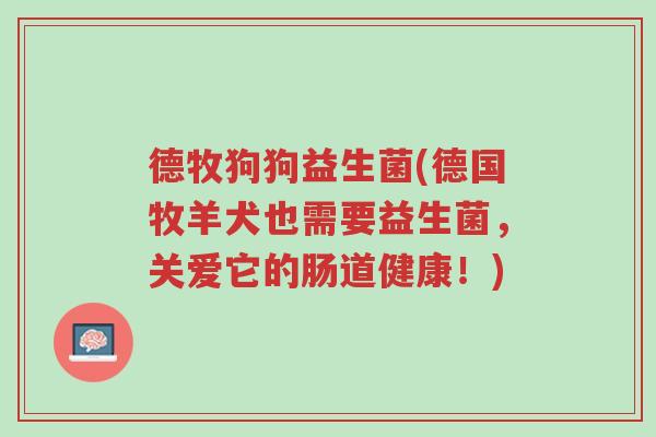 德牧狗狗益生菌(德国牧羊犬也需要益生菌,关爱它的肠道健康!)-第1张图片-超越 德牧狗狗益生菌(德国牧羊犬也需要益生菌,关爱它的肠道健康!)-第1张图片-超越