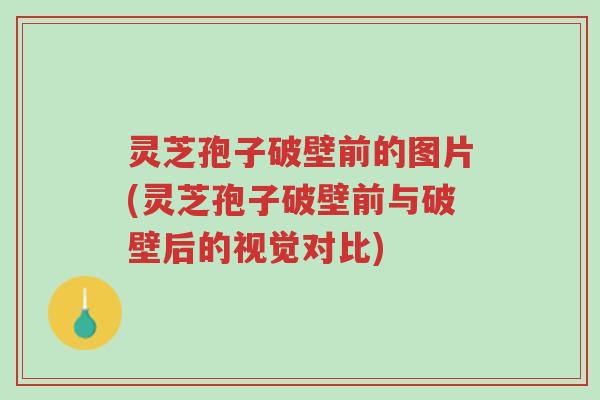灵芝孢子破壁前的图片(灵芝孢子破壁前与破壁后的视觉对比)-第1张图片-超越 灵芝孢子破壁前的图片(灵芝孢子破壁前与破壁后的视觉对比)-第1张图片-超越