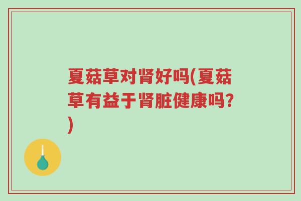 夏菇草对肾好吗(夏菇草有益于肾脏健康吗?)-第1张图片-超越 夏菇草对肾好吗(夏菇草有益于肾脏健康吗?)-第1张图片-超越