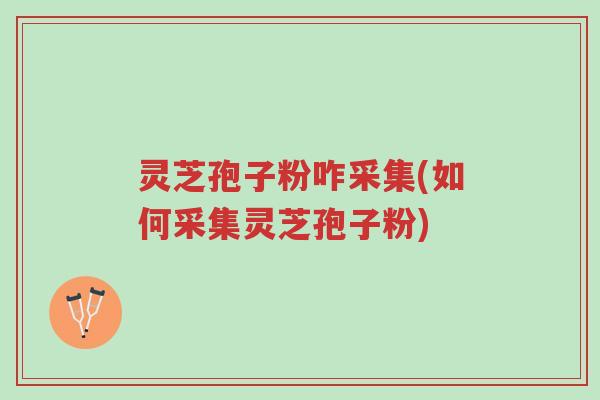 灵芝孢子粉咋采集(如何采集灵芝孢子粉)-第1张图片-超越 灵芝孢子粉咋采集(如何采集灵芝孢子粉)-第1张图片-超越