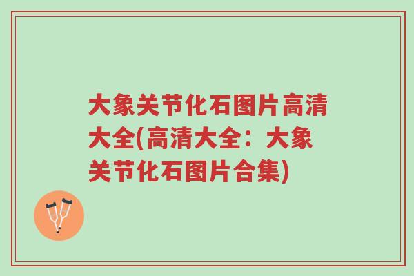 大象关节化石图片高清大全(高清大全:大象关节化石图片合集)-第1张图片-超越 大象关节化石图片高清大全(高清大全:大象关节化石图片合集)-第1张图片-超越