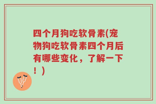 四个月狗吃软骨素(宠物狗吃软骨素四个月后有哪些变化,了解一下!)-第1张图片-超越 四个月狗吃软骨素(宠物狗吃软骨素四个月后有哪些变化,了解一下!)-第1张图片-超越