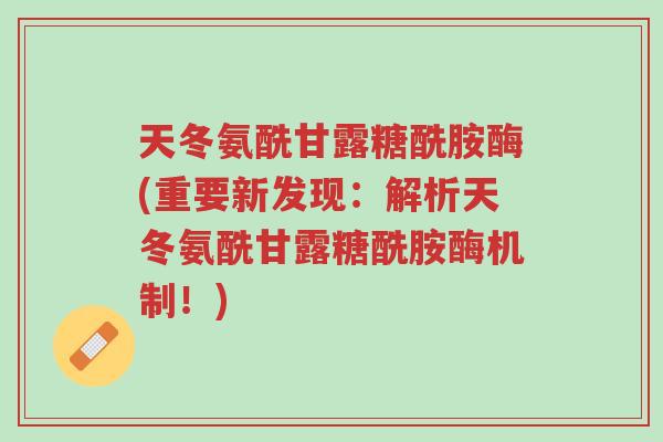 天冬氨酰甘露糖酰胺酶(重要新发现:解析天冬氨酰甘露糖酰胺酶机制!)-第1张图片-超越 天冬氨酰甘露糖酰胺酶(重要新发现:解析天冬氨酰甘露糖酰胺酶机制!)-第1张图片-超越
