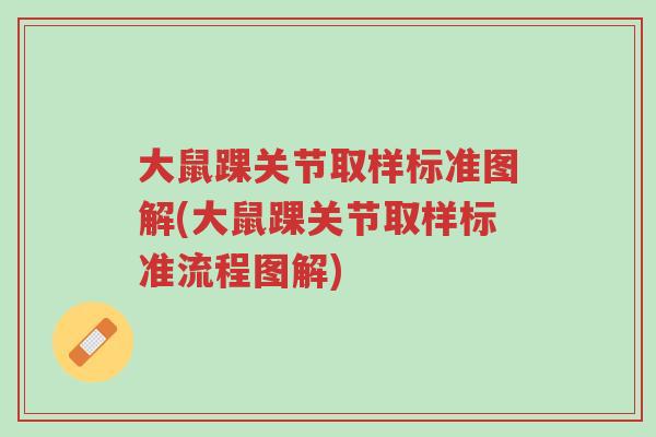 大鼠踝关节取样标准图解(大鼠踝关节取样标准流程图解)-第1张图片-超越 大鼠踝关节取样标准图解(大鼠踝关节取样标准流程图解)-第1张图片-超越