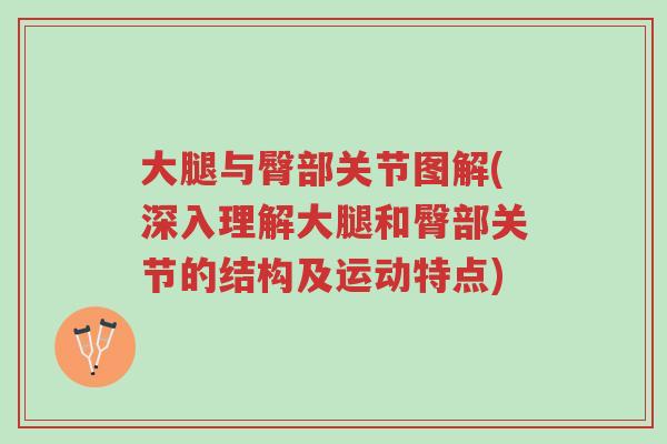 大腿与臀部关节图解(深入理解大腿和臀部关节的结构及运动特点)-第1张图片-超越 大腿与臀部关节图解(深入理解大腿和臀部关节的结构及运动特点)-第1张图片-超越