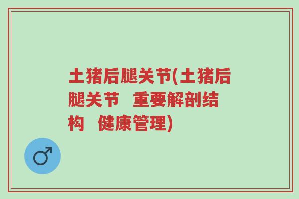 土猪后腿关节(土猪后腿关节 重要解剖结构 健康管理)-第1张图片-超越 土猪后腿关节(土猪后腿关节 重要解剖结构 健康管理)-第1张图片-超越