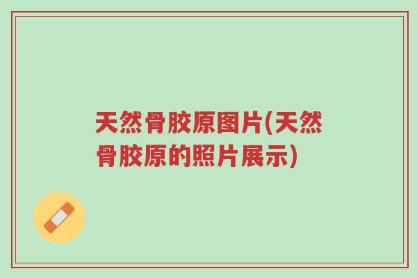 天然骨胶原图片(天然骨胶原的照片展示)-第1张图片-超越 天然骨胶原图片(天然骨胶原的照片展示)-第1张图片-超越