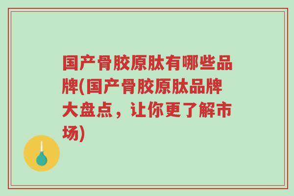 国产骨胶原肽有哪些品牌(国产骨胶原肽品牌大盘点,让你更了解市场)-第1张图片-超越 国产骨胶原肽有哪些品牌(国产骨胶原肽品牌大盘点,让你更了解市场)-第1张图片-超越