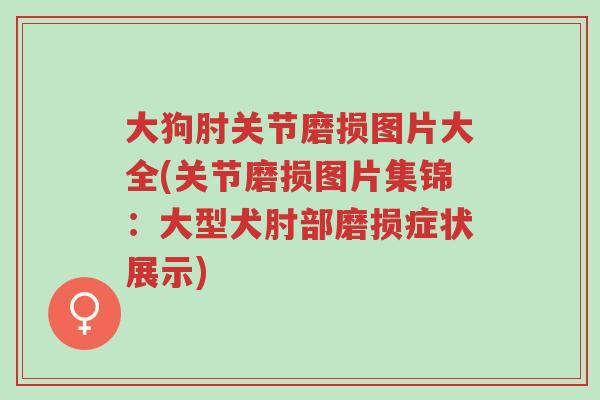 大狗肘关节磨损图片大全(关节磨损图片集锦:大型犬肘部磨损症状展示)-第1张图片-超越 大狗肘关节磨损图片大全(关节磨损图片集锦:大型犬肘部磨损症状展示)-第1张图片-超越