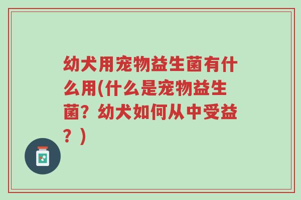 幼犬用宠物益生菌有什么用(什么是宠物益生菌?幼犬如何从中受益?)-第1张图片-超越 幼犬用宠物益生菌有什么用(什么是宠物益生菌?幼犬如何从中受益?)-第1张图片-超越