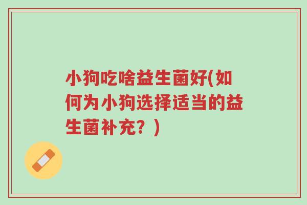 小狗吃啥益生菌好(如何为小狗选择适当的益生菌补充?)-第1张图片-超越 小狗吃啥益生菌好(如何为小狗选择适当的益生菌补充?)-第1张图片-超越