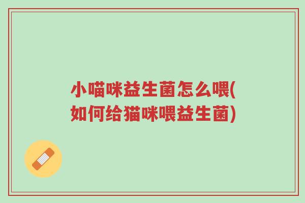 小喵咪益生菌怎么喂(如何给猫咪喂益生菌)-第1张图片-超越 小喵咪益生菌怎么喂(如何给猫咪喂益生菌)-第1张图片-超越