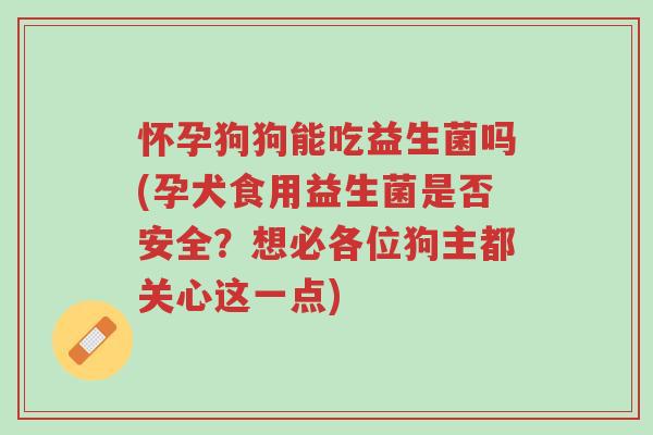 怀孕狗狗能吃益生菌吗(孕犬食用益生菌是否安全?想必各位狗主都关心这一点)-第1张图片-超越 怀孕狗狗能吃益生菌吗(孕犬食用益生菌是否安全?想必各位狗主都关心这一点)-第1张图片-超越